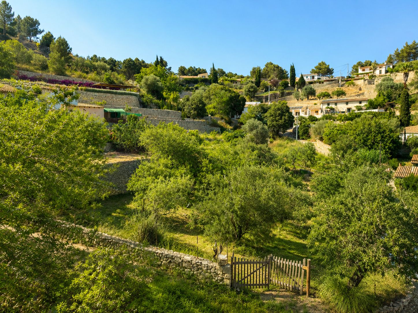 Vista 21