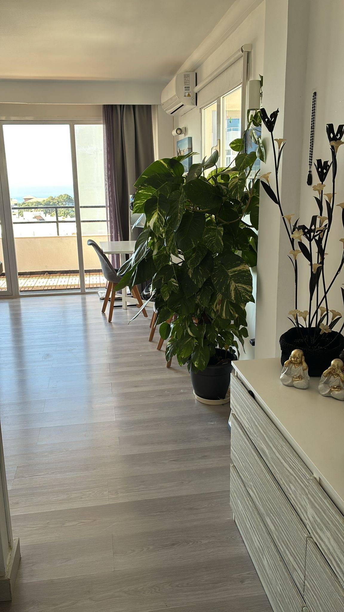 Vista 12